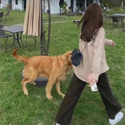 金发奇女